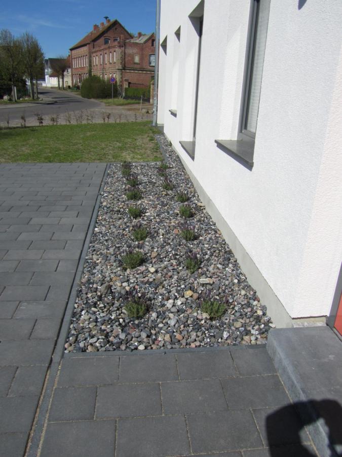 Reusenhaus Nord Villa Breege Buitenkant foto